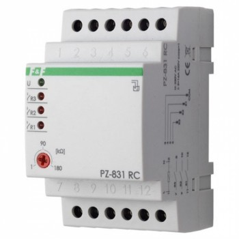 ���� �������� ������ PZ-831