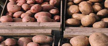 �������� ��������� ����� ������ ��� ���