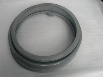 ������ ���� ���������� ������