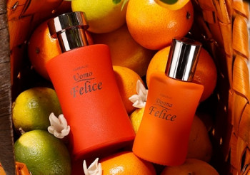 �������� �����������-������� �� ������� �� �����