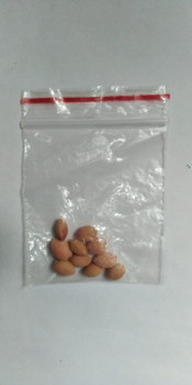 ������ ��������� ����� 10 ��